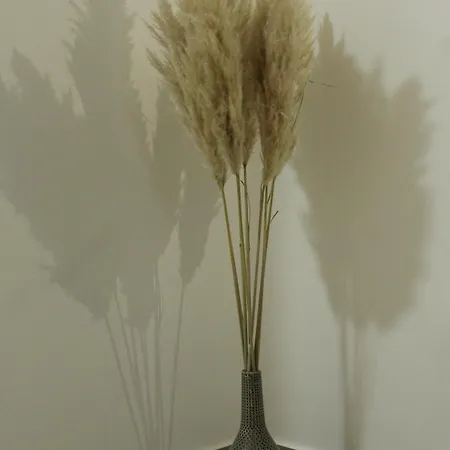 Zemun Apartment Belgrade