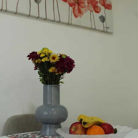 Zemun Apartment *